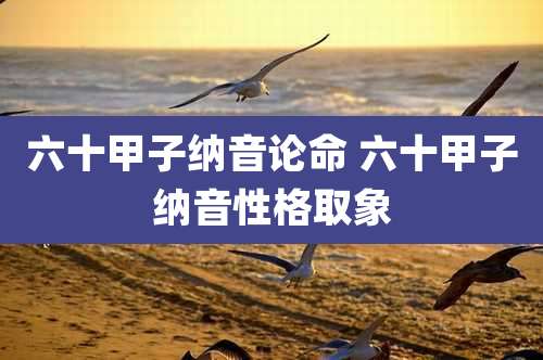六十甲子纳音论命 六十甲子纳音性格取象