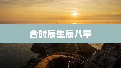 合时辰生辰八字