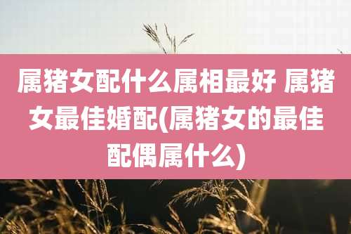 属猪女配什么属相最好 属猪女最佳婚配(属猪女的最佳配偶属什么)