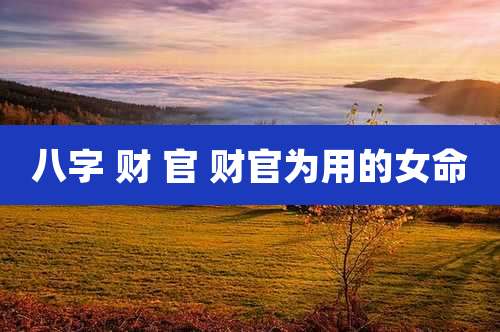 八字 财 官 财官为用的女命