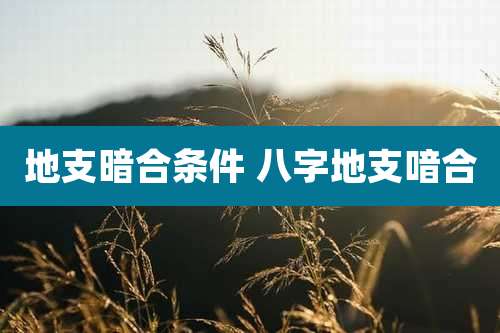 地支暗合条件 八字地支喑合