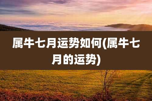 属牛七月运势如何(属牛七月的运势)