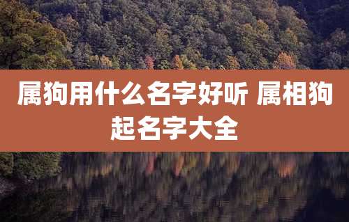 属狗用什么名字好听 属相狗起名字大全