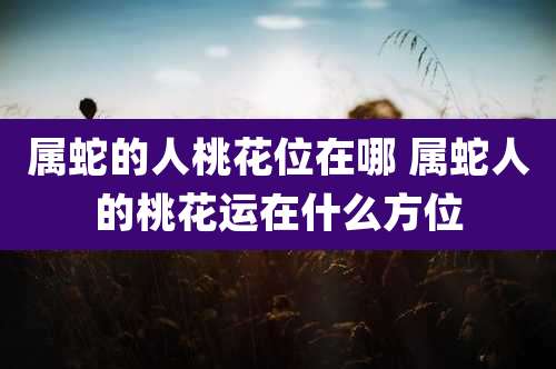 属蛇的人桃花位在哪 属蛇人的桃花运在什么方位