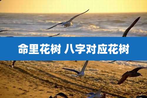 命里花树 八字对应花树