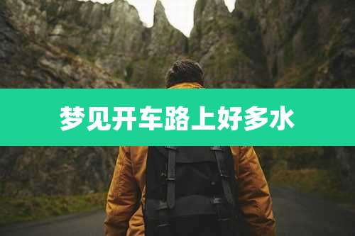 梦见开车路上好多水