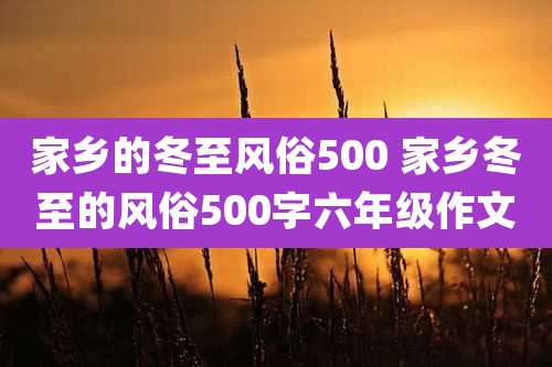 家乡的冬至风俗500 家乡冬至的风俗500字六年级作文