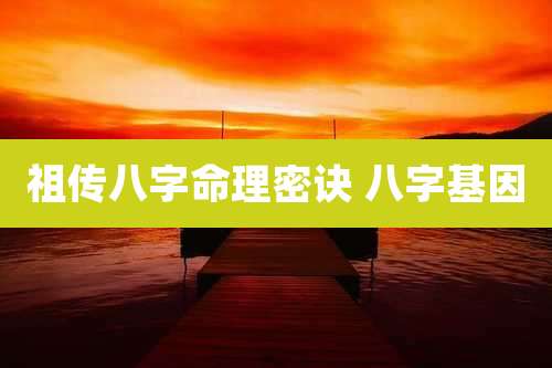 祖传八字命理密诀 八字基因