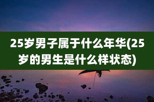 25岁男子属于什么年华(25岁的男生是什么样状态)