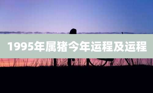 1995年属猪今年运程及运程