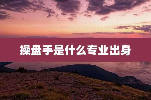 操盘手是什么专业出身