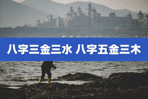 八字三金三水 八字五金三木