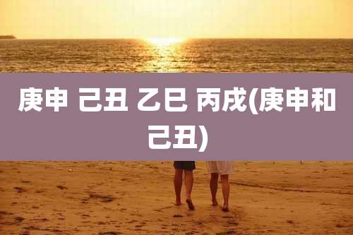 庚申 己丑 乙巳 丙戌(庚申和己丑)