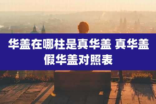 华盖在哪柱是真华盖 真华盖假华盖对照表