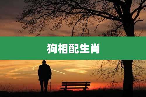 狗相配生肖