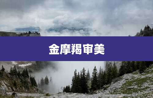 金摩羯审美