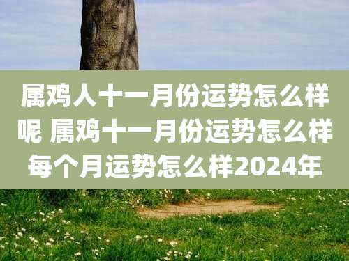 属鸡人十一月份运势怎么样呢 属鸡十一月份运势怎么样每个月运势怎么样2024年