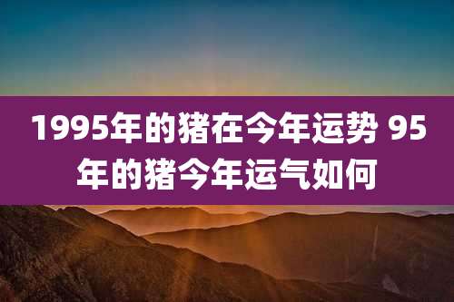 1995年的猪在今年运势 95年的猪今年运气如何