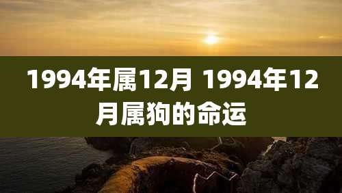 1994年属12月 1994年12月属狗的命运