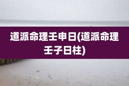 道派命理壬申日(道派命理壬子日柱)