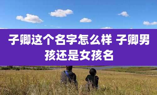 子卿这个名字怎么样 子卿男孩还是女孩名