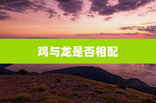 鸡与龙是否相配