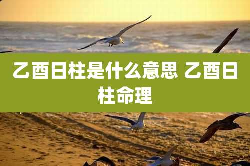 乙酉日柱是什么意思 乙酉日柱命理