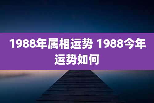1988年属相运势 1988今年运势如何