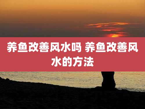 养鱼改善风水吗 养鱼改善风水的方法