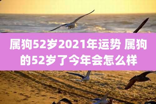 属狗52岁2021年运势 属狗的52岁了今年会怎么样