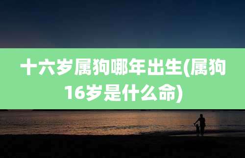 十六岁属狗哪年出生(属狗16岁是什么命)