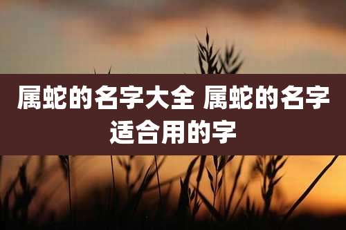 属蛇的名字大全 属蛇的名字适合用的字