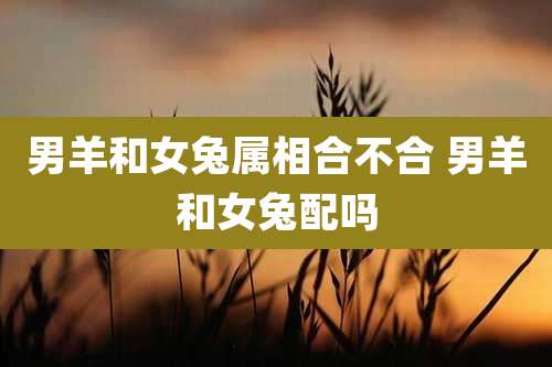 男羊和女兔属相合不合 男羊和女兔配吗