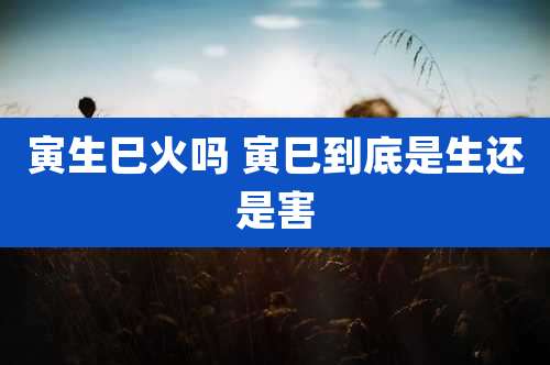 寅生巳火吗 寅巳到底是生还是害