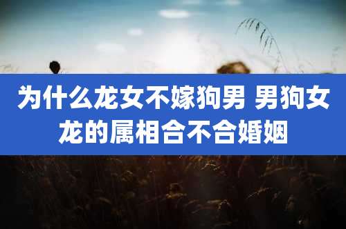为什么龙女不嫁狗男 男狗女龙的属相合不合婚姻