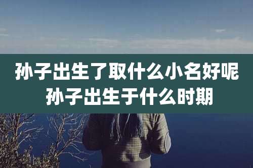 孙子出生了取什么小名好呢 孙子出生于什么时期