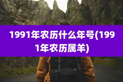 1991年农历什么年号(1991年农历属羊)