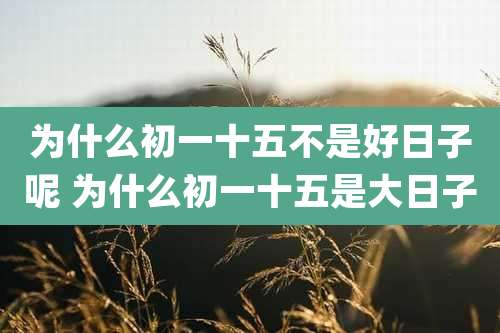 为什么初一十五不是好日子呢 为什么初一十五是大日子