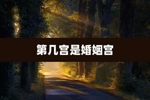 第几宫是婚姻宫
