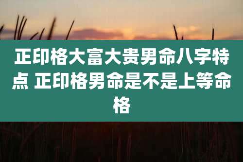 正印格大富大贵男命八字特点 正印格男命是不是上等命格