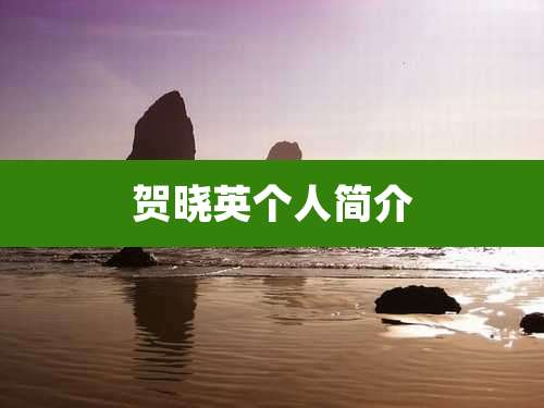 贺晓英个人简介