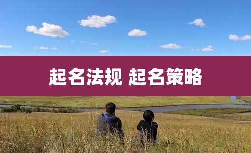起名法规 起名策略