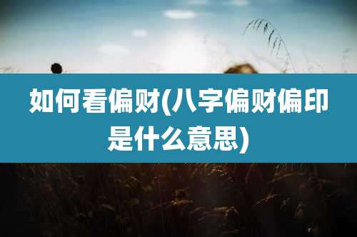 如何看偏财(八字偏财偏印是什么意思)