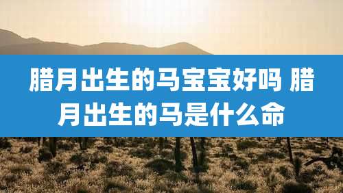 腊月出生的马宝宝好吗 腊月出生的马是什么命