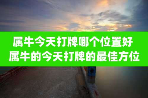 属牛今天打牌哪个位置好 属牛的今天打牌的最佳方位