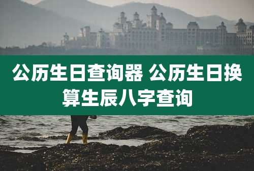 公历生日查询器 公历生日换算生辰八字查询