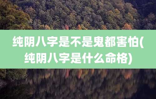 纯阴八字是不是鬼都害怕(纯阴八字是什么命格)