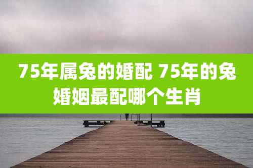 75年属兔的婚配 75年的兔婚姻最配哪个生肖