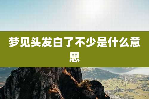 梦见头发白了不少是什么意思