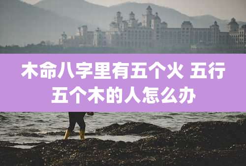 木命八字里有五个火 五行五个木的人怎么办